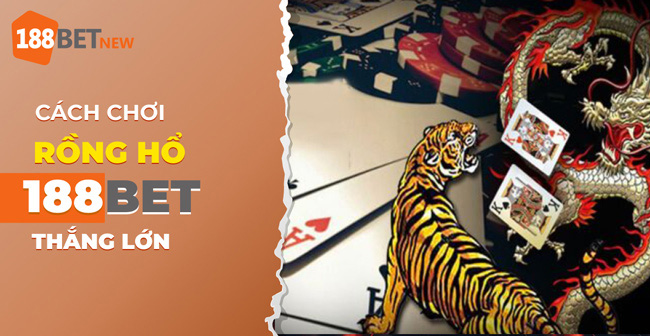 Hướng dẫn cách chơi Rồng Hổ Poker trực tuyến tại 188Bet chính xác nhất